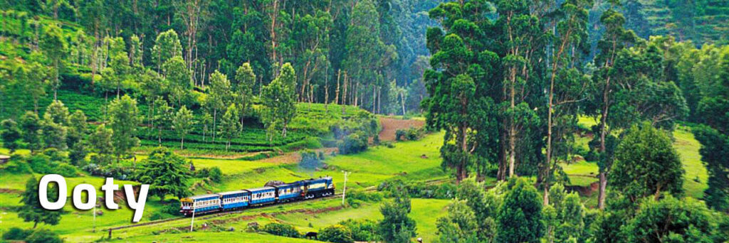 ooty bus tour package